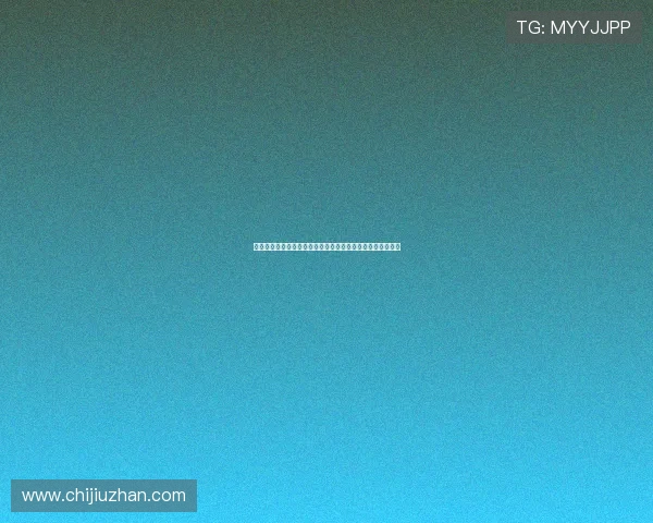 葡萄牙追授若塔勋位与功勋奖章并举行英雄广场揭幕仪式庆典